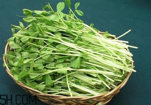 女性吃什么能瘦臉？能瘦臉的食物有哪些？