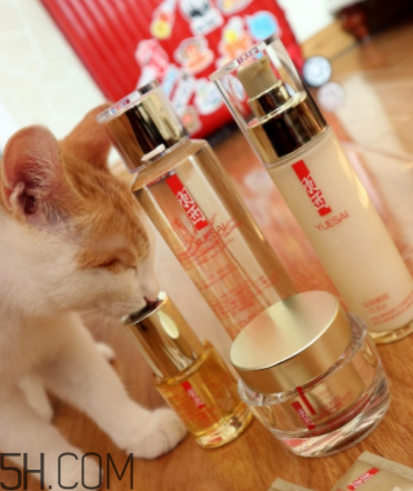 羽西蟲草新肌水有什么功效？適合什么膚質(zhì)？