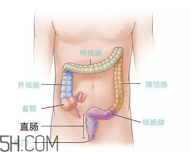宿便有什么危害？如何清除宿便？