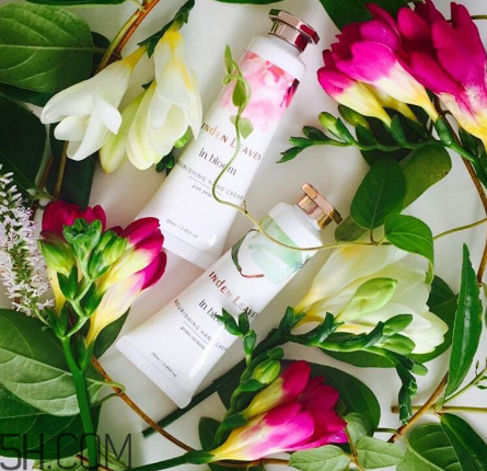 linden leaves香氛護(hù)手霜好用嗎？laura ashley護(hù)手霜好用嗎？