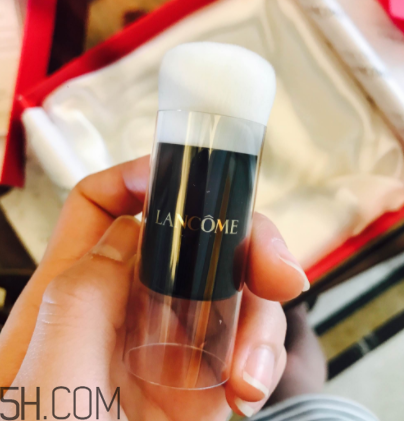 蘭蔻菁純氣墊粉底液110號色適合黃皮嗎？真人試色