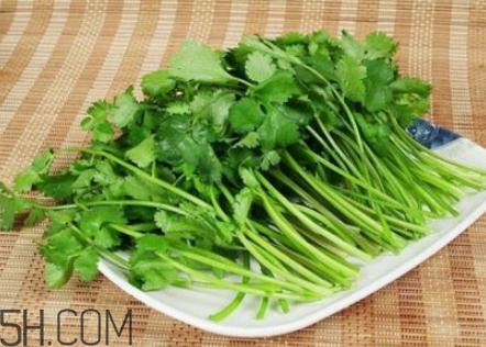 香菜根煮水怎么煮？香菜根煮水喝幾天見效？