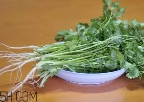香菜根煮水能減肥嗎？香菜根煮水能天天喝嗎？