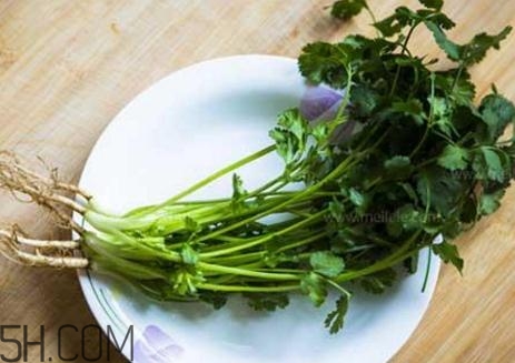 香菜根煮水能減肥嗎？香菜根煮水能天天喝嗎？