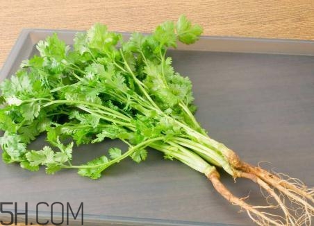香菜根煮水能美白嗎？香菜根煮水能祛斑嗎？