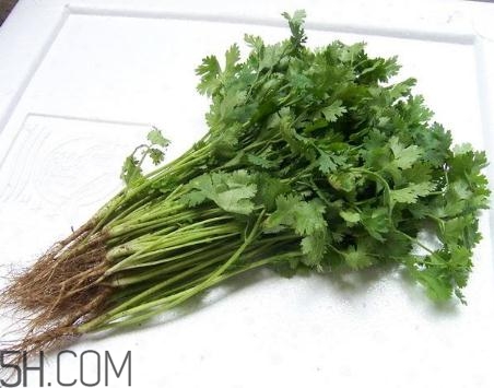 香菜根煮水能美白嗎？香菜根煮水能祛斑嗎？