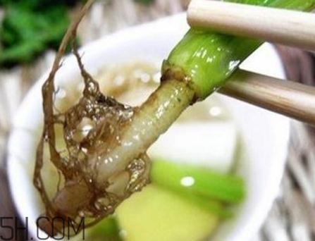 香菜根煮水能美白嗎？香菜根煮水能祛斑嗎？