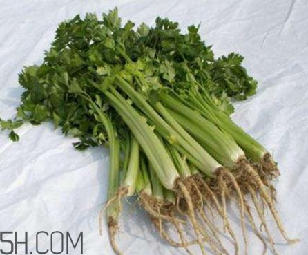 香菜根煮水能退燒嗎？香菜根煮水能治咳嗽嗎？