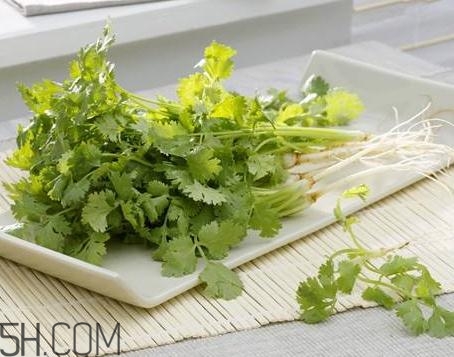 香菜根煮水能治濕疹嗎？香菜根煮水孕婦能喝嗎？