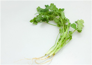 香菜根煮水能治濕疹嗎？香菜根煮水孕婦能喝嗎？