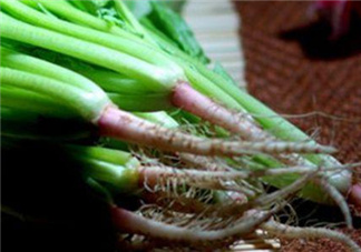香菜根煮水能美白嗎？香菜根煮水能祛斑嗎？