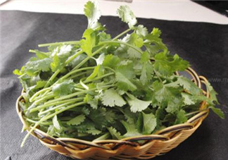 香菜根煮水能減肥嗎？香菜根煮水能天天喝嗎？