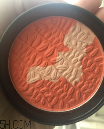 瑪麗黛佳腮紅怎么打？瑪麗黛佳腮紅怎么用？