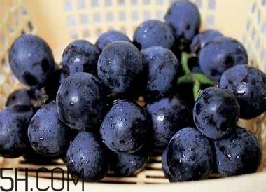 吃黑加侖對眼睛有什么好處？吃黑加侖要注意什么？