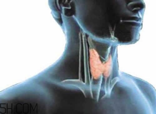 甲狀腺腫大和甲亢的區(qū)別有哪些？甲狀腺腫大適合吃什么食物？