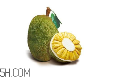 為什么吃菠蘿蜜拉肚子？吃菠蘿蜜拉肚子怎么辦？