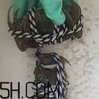 冬天可以吃大閘蟹嗎？冬天怎么吃大閘蟹？
