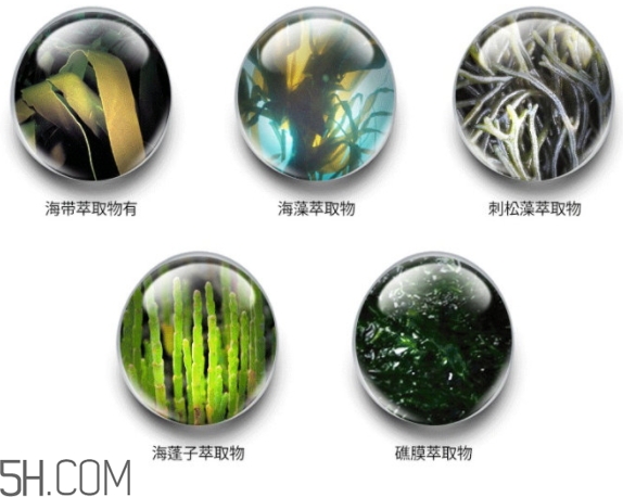 jmsolution珍珠面膜怎么用？jm珍珠珍珠面膜分為三部曲