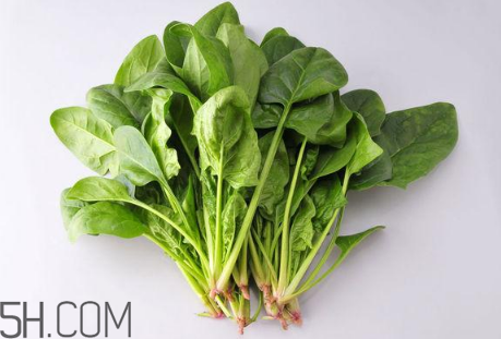 羊肉和菠菜能一起吃嗎？吃羊肉能吃菠菜嗎？
