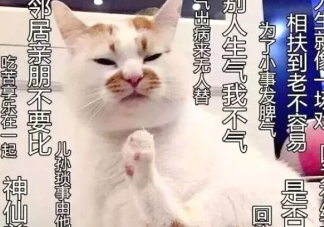 佛系妝是什么妝？佛系妝容輕松打造
