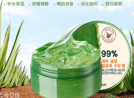 得鮮蘆薈膠含酒精嗎？蘆薈膠當睡眠面膜的作用