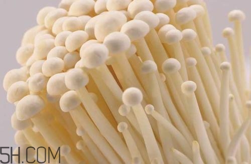 金針菇的食用禁忌有哪些？金針菇四大禁忌