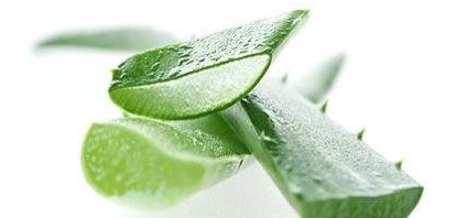 嘴唇干裂能用蘆薈膠嗎？鼻子脫皮也可以用蘆薈膠
