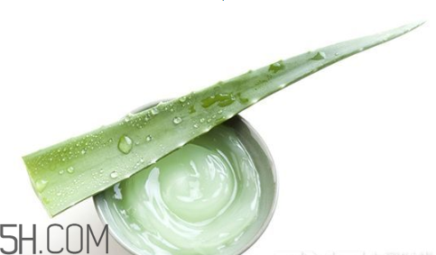 蘆薈膠吃了會(huì)怎樣？蘆薈膠的吃法