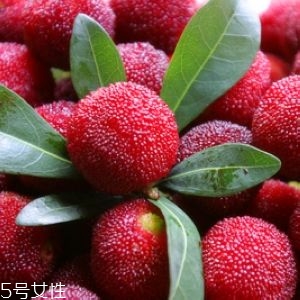 新鮮楊梅如何做酸梅湯？楊梅湯兩做法