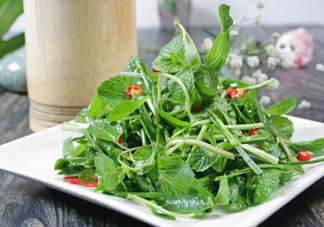 哪些中草藥可以當菜吃？最常見的是這三種