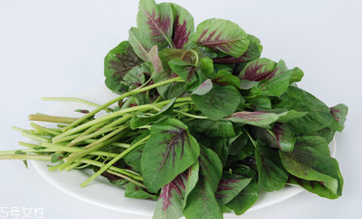 吃莧菜可以減肥嗎？減肥食物熱量排行榜