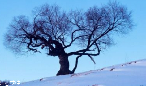 三九天最適合減肥的運(yùn)動(dòng)有哪些？推薦三種減肥運(yùn)動(dòng)