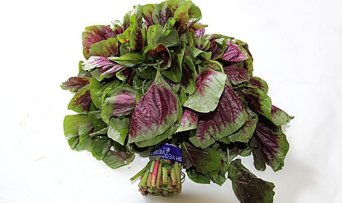吃莧菜可以減肥嗎？減肥食物熱量排行榜