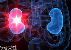 腎病為什么會發(fā)展到尿毒癥？這些因素一定要注意