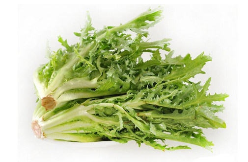 苦菊小孩能吃嗎？小孩吃苦菊促進(jìn)腦部發(fā)育