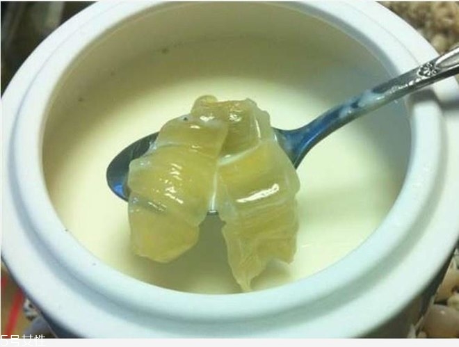 花膠燉牛奶的功效與作用？保養(yǎng)皮膚效果好