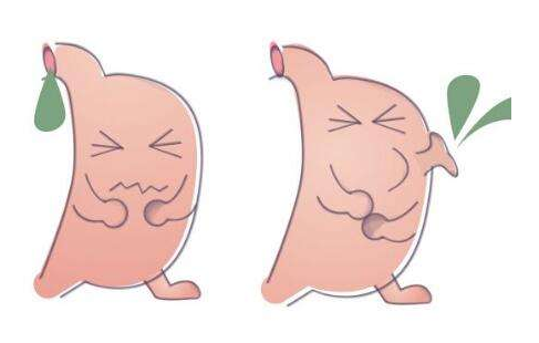嘔酸水怎么辦？多補充堿性食物