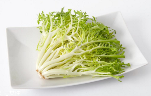 苦菊能減肥嗎？苦菊的各式做法