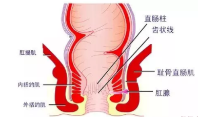 肛瘺非手術(shù)治療才可以嗎？手術(shù)是治療的關(guān)鍵途徑