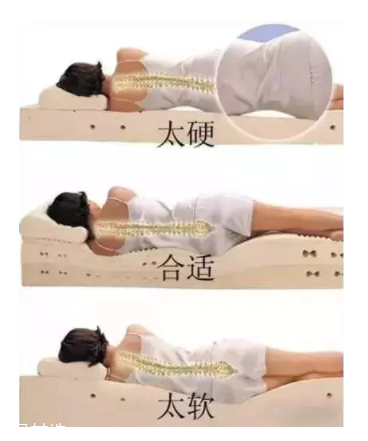 床越軟越好嗎？軟床導(dǎo)致駝背