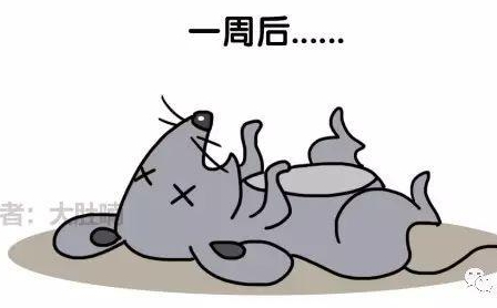 自然堂隔離霜孕婦可以用嗎？含有孕婦禁用成分