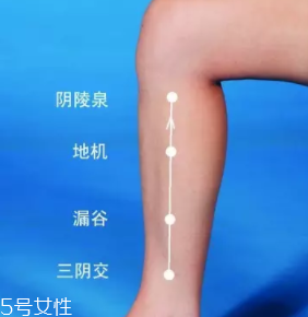 濕疹怎么治才管用？內外同治是關鍵