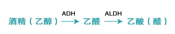喝酒致癌的真相是什么？乙醛致癌太可怕
