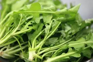 經(jīng)常用眼吃什么？多吃綠色和黃色食物