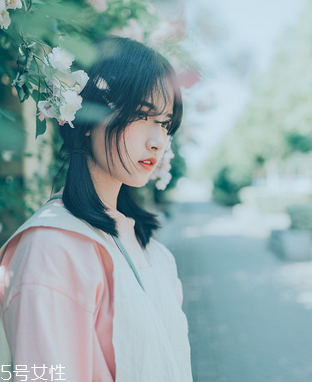 鹿胎膏會(huì)發(fā)胖嗎？鹿胎膏無(wú)致胖風(fēng)險(xiǎn)