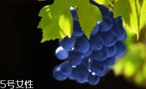 葡萄籽補劑要不要買？不如早睡早起
