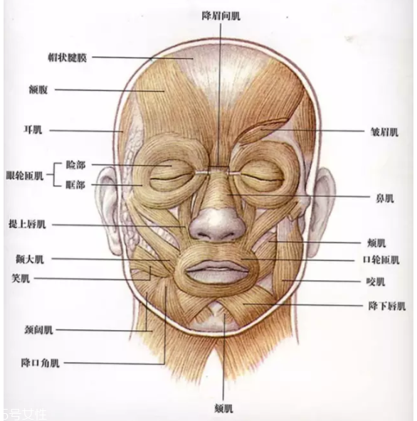 法令紋怎么去除？最有效的方法是醫(yī)美