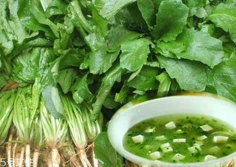 薺菜能和木耳一起吃嗎？一起吃好處多多