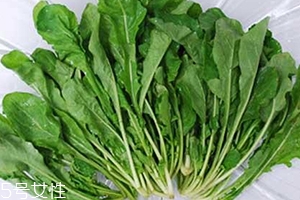 薺菜包餃子需要焯水嗎？小心有苦澀的味道