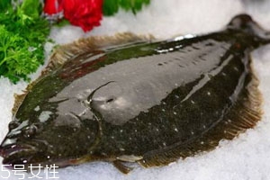 鴉片魚(yú)是海魚(yú)還是河魚(yú) 不是深海魚(yú)類